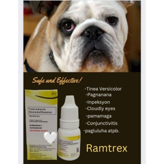 ✨RAMTREX Tobramycin+Dexamethasone Eye Drop for Pets dog & cats