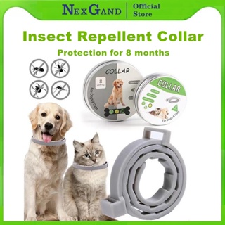 NexGand Pet Collar 8Month Lasting Protection Anti Insect Flea Tick Collar for Pet Dog Cat