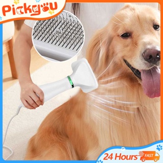 Portable 2 in 1 Pet Hair Dryer Blower & Comb Adjustable Temperature for Small and Medium Dogs and Ca