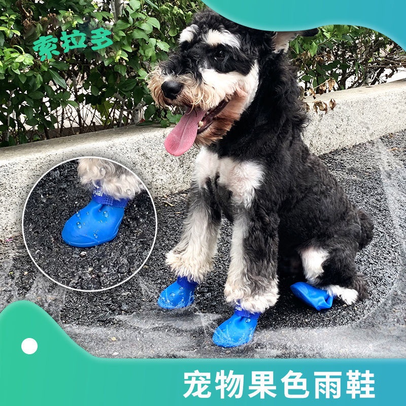 Pet golden retriever silicone supplies rain boots anti-dirty anti-slip  waterproof dog shoes Teddy co | Shopee Philippines