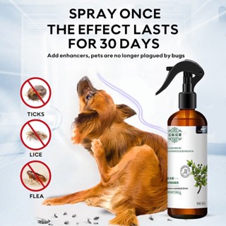 100% Authentic 300ml Ticks Away Anti-tick & Flea Spray For Dogs & Cats 