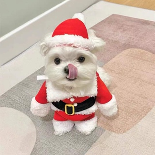 ️In Stock️ pet cat clothes Christmas Cat Costumes Funny Santa Claus Clothes For Small Cats Dogs Xmas New Year Pet Cat Clothing Kitty Kitten Outfits clothes for cat cat Christmas costume #7