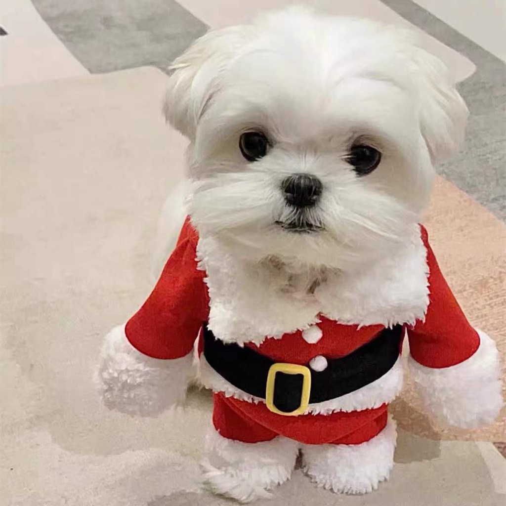 ️In Stock️ pet cat clothes Christmas Cat Costumes Funny Santa Claus Clothes For Small Cats Dogs Xmas New Year Pet Cat Clothing Kitty Kitten Outfits clothes for cat cat Christmas costume #5
