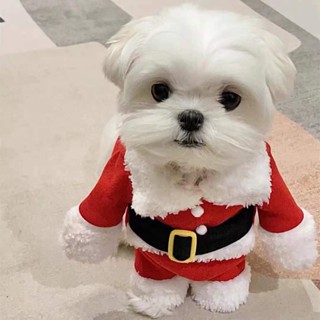 ️In Stock️ pet cat clothes Christmas Cat Costumes Funny Santa Claus Clothes For Small Cats Dogs Xmas New Year Pet Cat Clothing Kitty Kitten Outfits clothes for cat cat Christmas costume #5