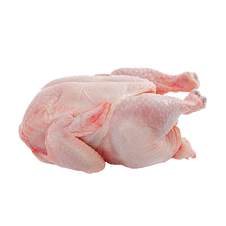 Zagana Whole Chicken 1.3kg - Oversize | Shopee Philippines