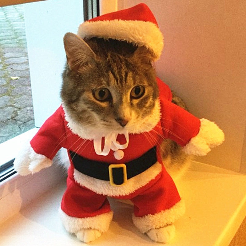 ️In Stock️ pet cat clothes Christmas Cat Costumes Funny Santa Claus Clothes For Small Cats Dogs Xmas New Year Pet Cat Clothing Kitty Kitten Outfits clothes for cat cat Christmas costume #1
