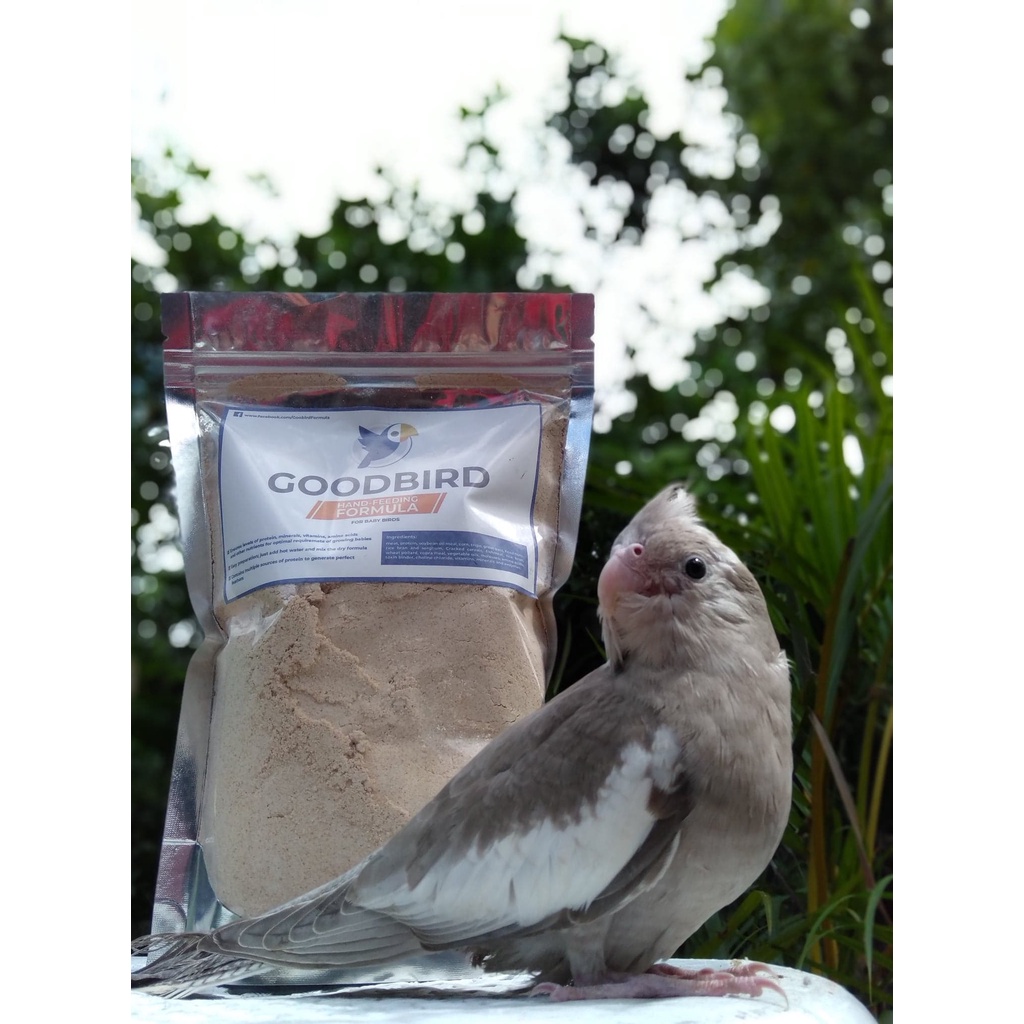 Goodbird Hand Feeding Formula Parrot Food, food for Baby Cockatiels