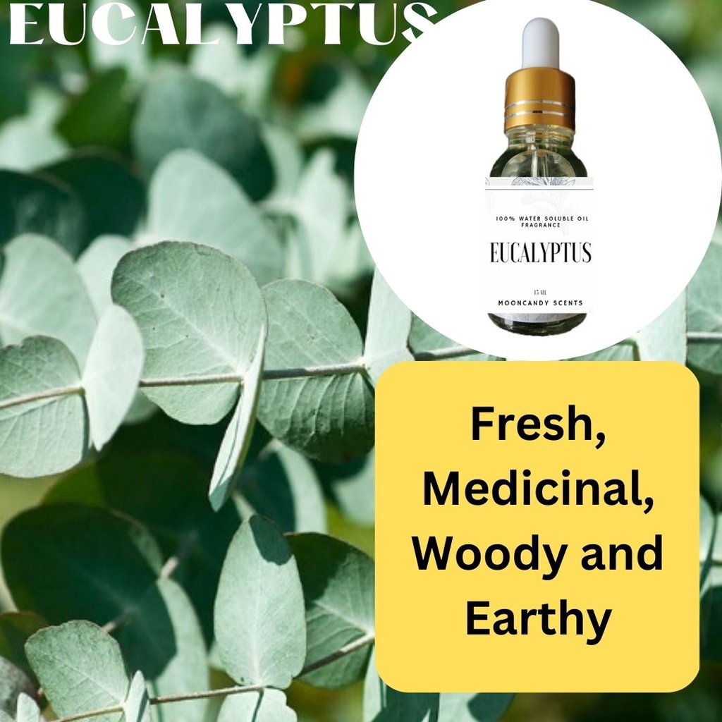 EUCALYPTUS WATER SOLUBLE FRAGRANCE OIL, ESSENTIAL OIL, HUMIDIFIER OIL