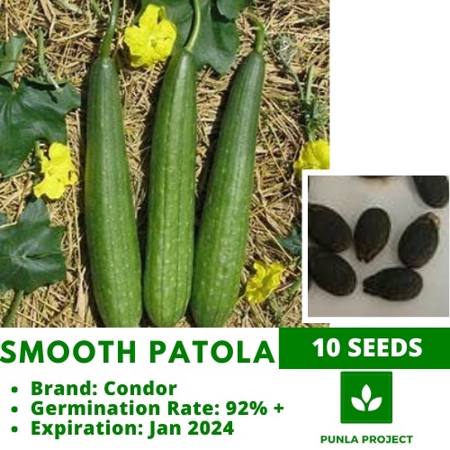 PATOLA 10pcs Smooth vegetable repacked seeds Shopee Philippines