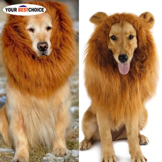 YBC Lion Mane Wig with Ears for Large Dog Halloween Clothes Fancy Dress Up Pet Costume Supplies With