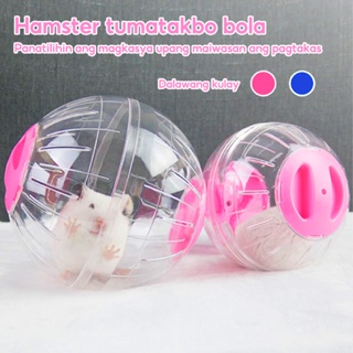 Hamsters Ball 12cm Large Size Small Pet Hamster Toy Outdoor Sport Wheel Grounder Jogging