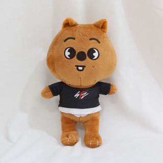 Stray kids skzoo stray children plush doll 20cm | Shopee Philippines