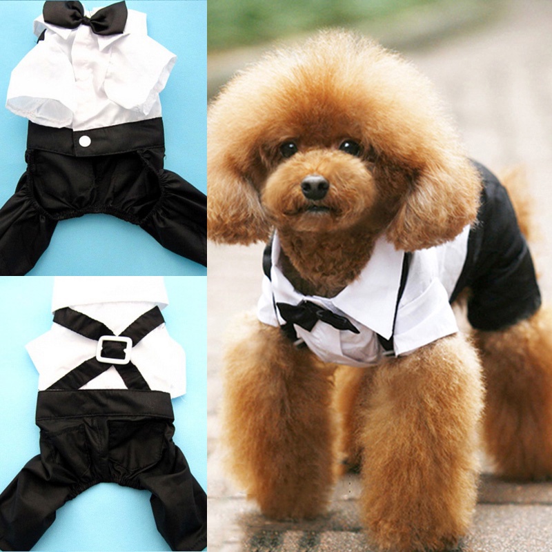 Dog Clothes for Shih Tzu Terno Tuxedo Bow Tie Suit Pet Outfit Puppy