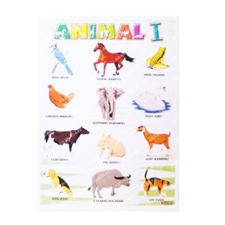 Educational Learning Chart/Poster Cardboard Paper For Kids | Shopee  Philippines