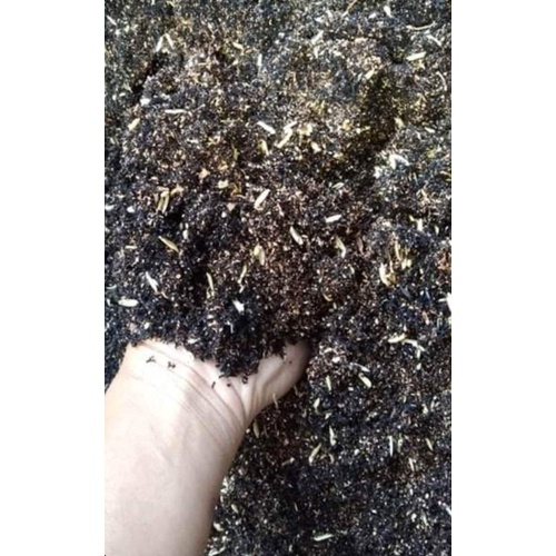 1kg Garden Soil, Loam Soil, Organic soil, Potting Mix, Black soil