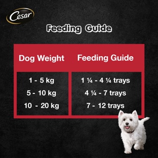 CESAR Wet Dog Food – Beef and Liver Flavor (24-Pack), 100g. Premium Dog Food for Adult Dogs #7