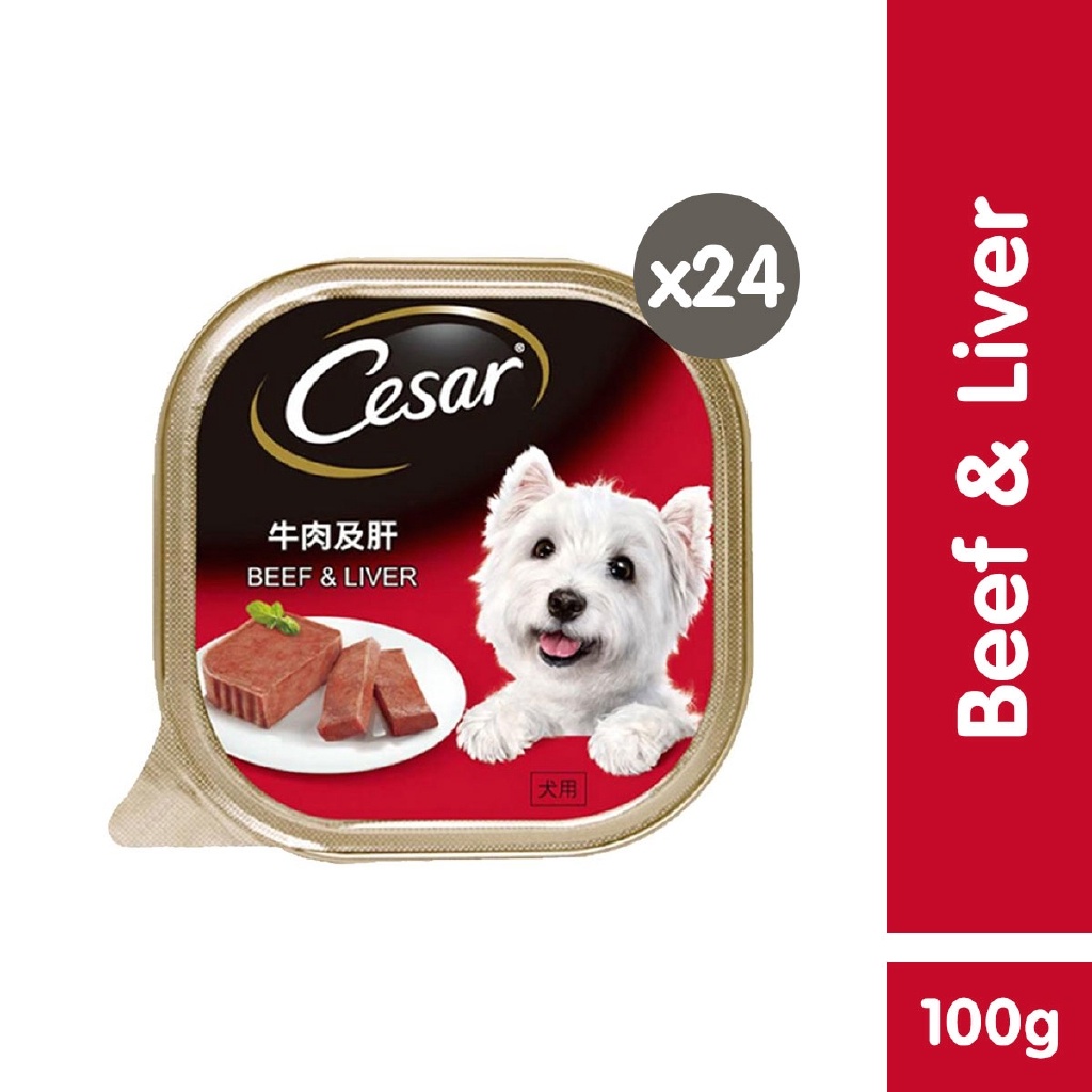 CESAR Wet Dog Food – Beef and Liver Flavor (24-Pack), 100g. Premium Dog Food for Adult Dogs #1