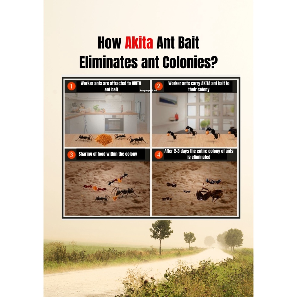 Akita Ant Killer, Ant Bait 50grams
