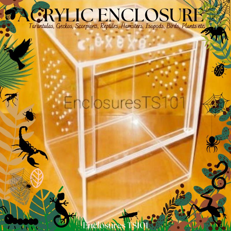 Acrylic Enclosure for Tarantula 6x8 Arboreal (Free cocopeat) Shopee
