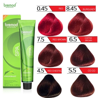 Bremod Hair Colors Dyed Cream 100ml Red Copper Purple Burgundy Brown Color Styline Salon Use