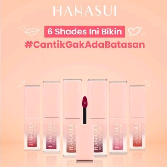 Hanasui Tintdorable Lip Stain Lip Tint 10ml Shopee Philippines