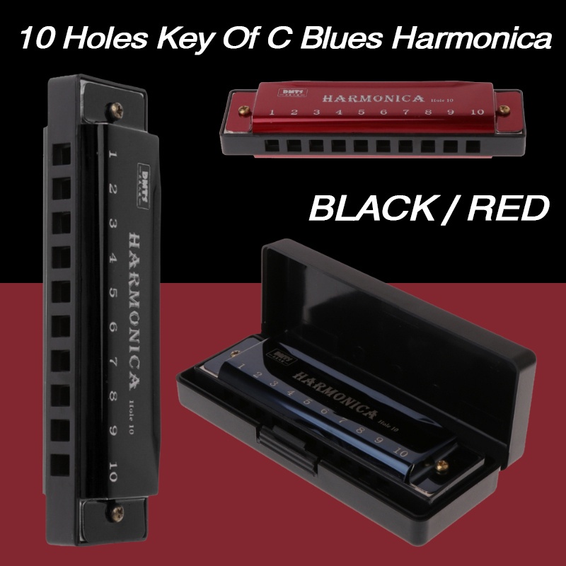10 Hole Harmonica Mouth Organ Puzzle Musical Instrument Beginner