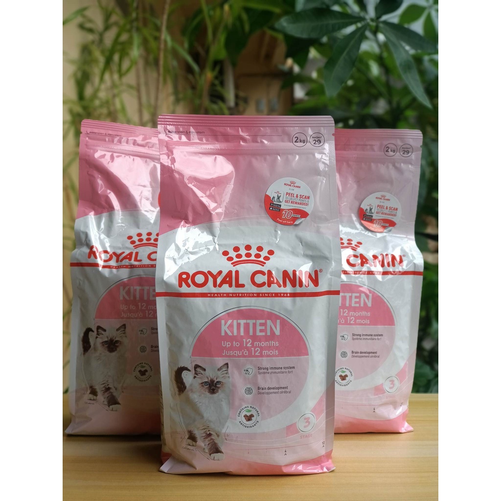 Royal Canin Kitten Dry Cat Food 2kg Shopee Philippines