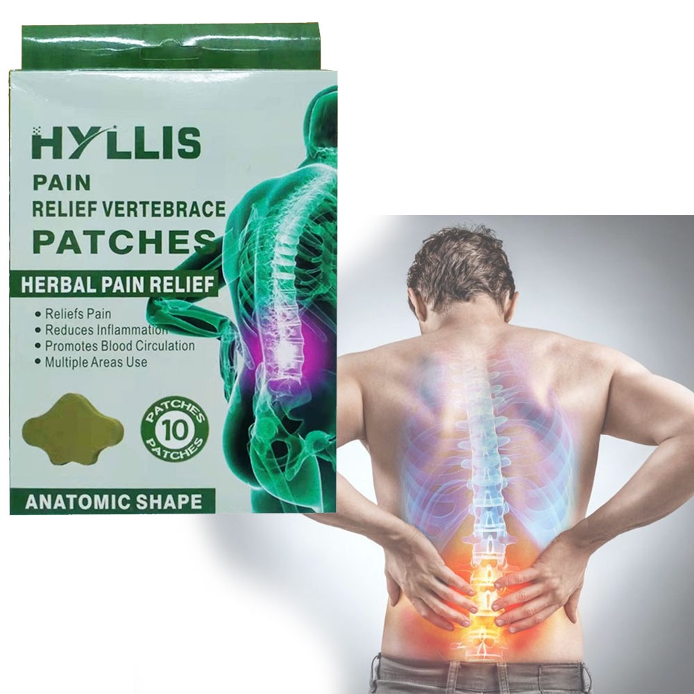 HYLLIS Pain Relief Vertebrace Patches (10 Patches) Shopee Philippines
