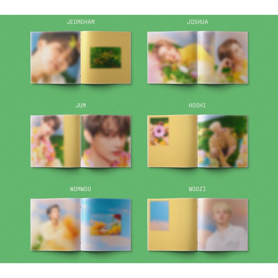 実物 SEVENTEEN SECTOR17 COMPACT 新品未開封 50枚 a ecousarecycling.com