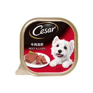 CESAR Wet Dog Food – Beef and Liver Flavor (24-Pack), 100g. Premium Dog Food for Adult Dogs #9