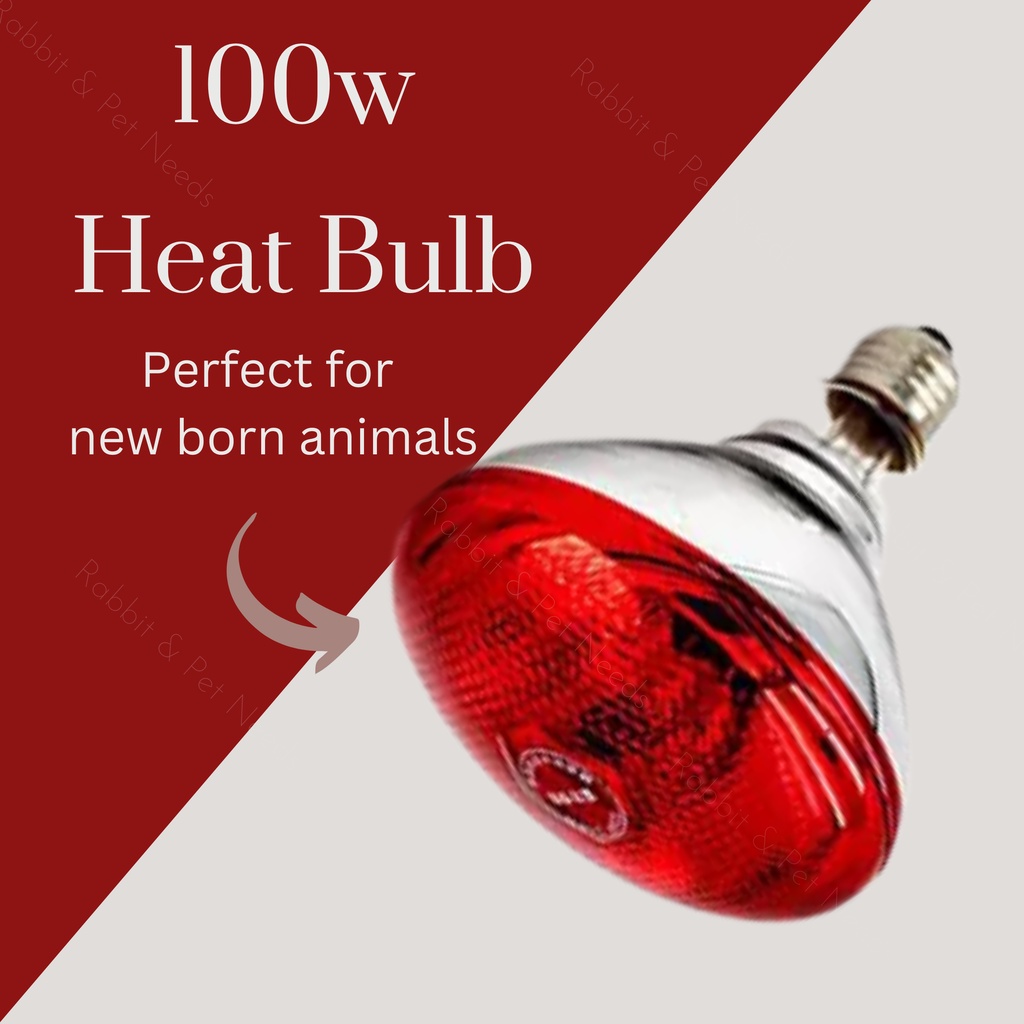 Brooder Light 100w Red Heat Bulb Lamp heat bulb for new born pig heat