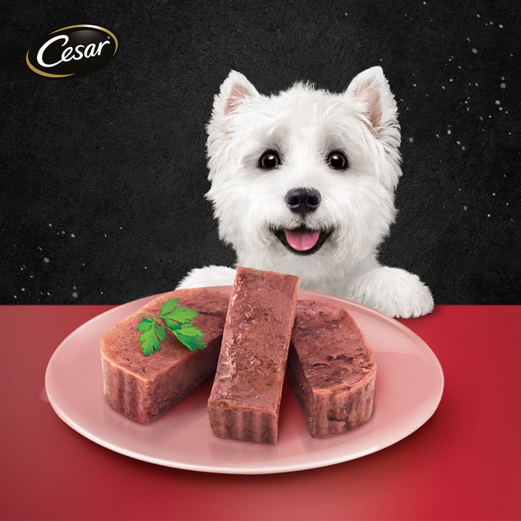 CESAR Wet Dog Food – Beef and Liver Flavor (24-Pack), 100g. Premium Dog Food for Adult Dogs #2