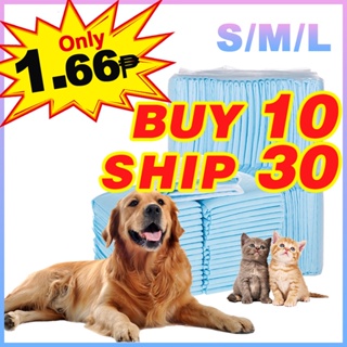 Pet Pee Pad Dog Potty Pads Buy 10 Ship 30 Size S/M/L Cat Dog Wee Pee Poop Training Pads