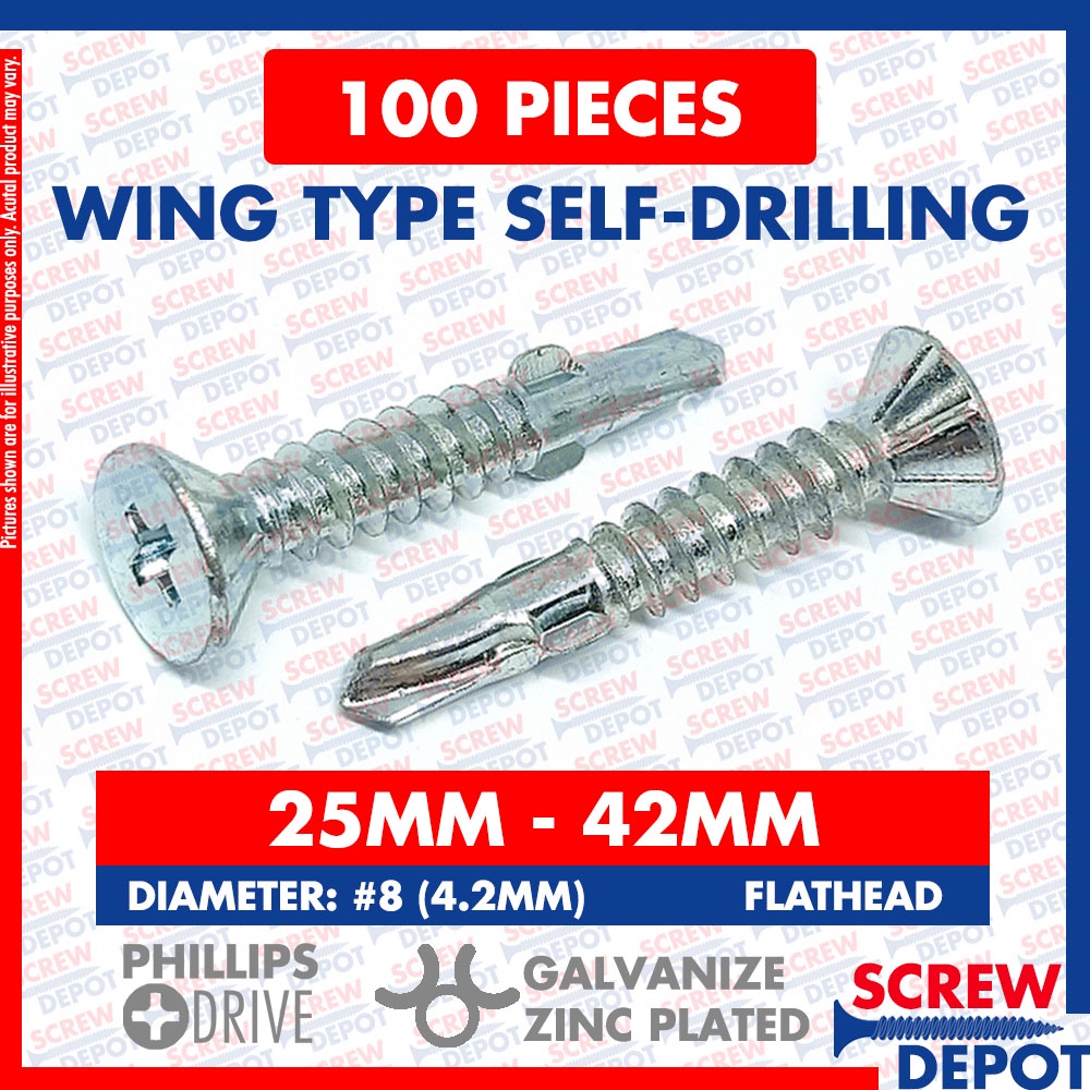 100PCS Window Screw with Wings / Hardiflex Screw Self Drilling Flathead