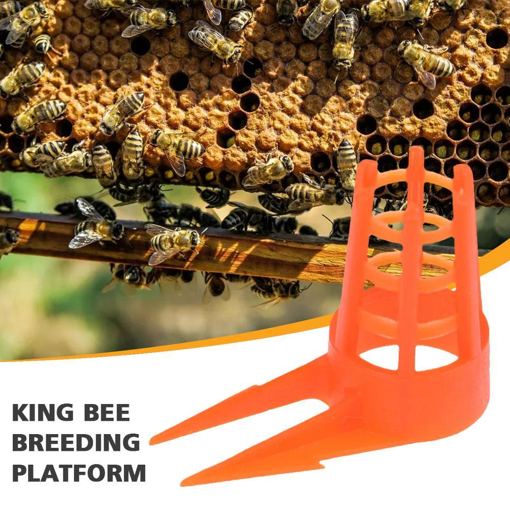 Bee Queen Cell Cover Beekeeping Tool Beekeeper Plastic Cage Protect