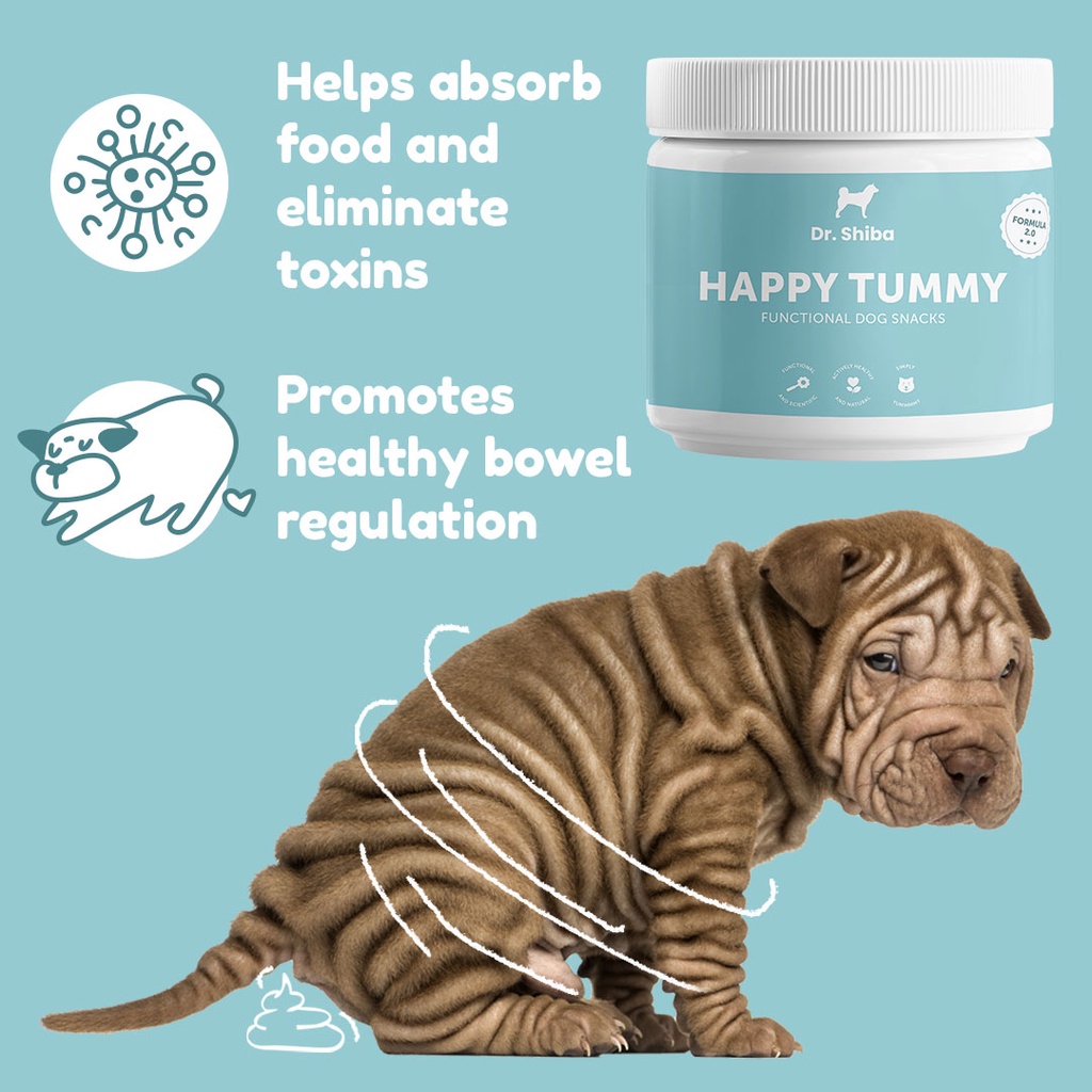 Dr Shiba Healthy Dog Treat Supplement Snacks for Pets: HAPPY TUMMY #5