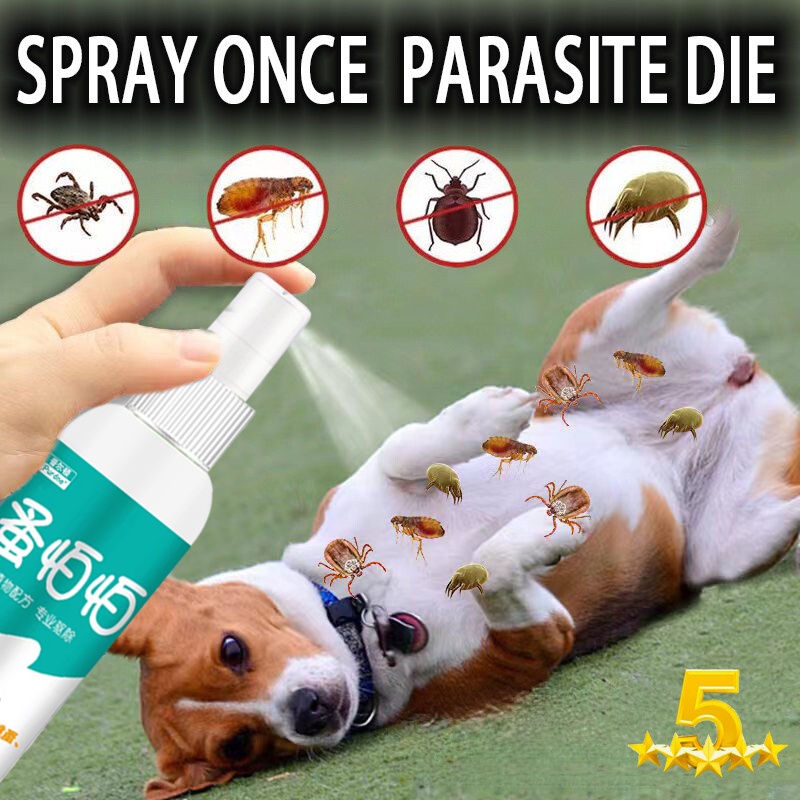 Pet Anti Tick And Flea Spray Fast Effective Anti Garapata For DogCat Natural Herbal Dog Lice