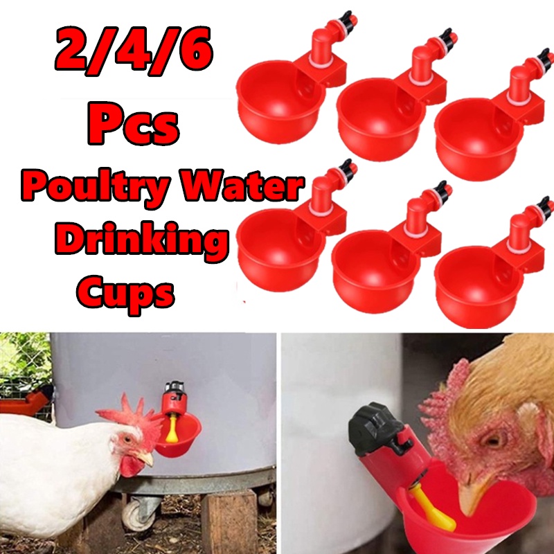 Poultry Water Drinking Cups Automatic Chicken Water Cup Bowl Kit Farm