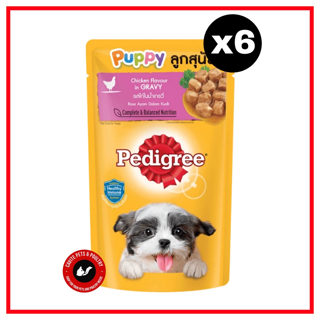 PUPPY Pedigree Pouch 130g (Chicken flavour in gravy) ( 6 Packs