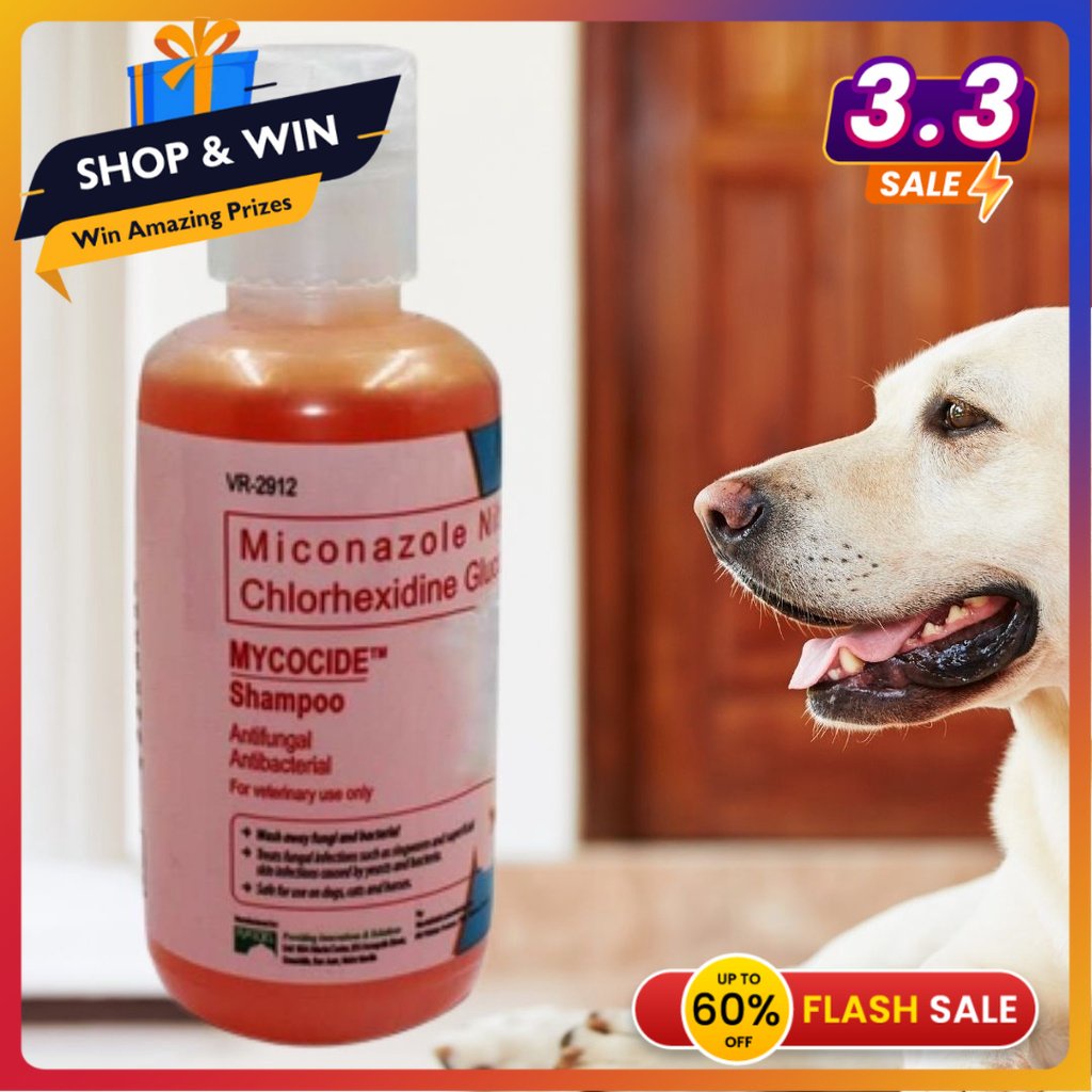 1 bottle 150 ml Mycocide Antifungal Shampoo for Dogs and Cats Shopee