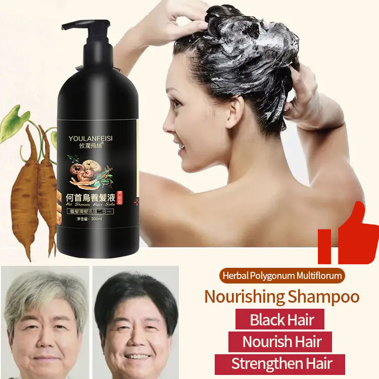 Polygonum multiflorum black hair shampoo
