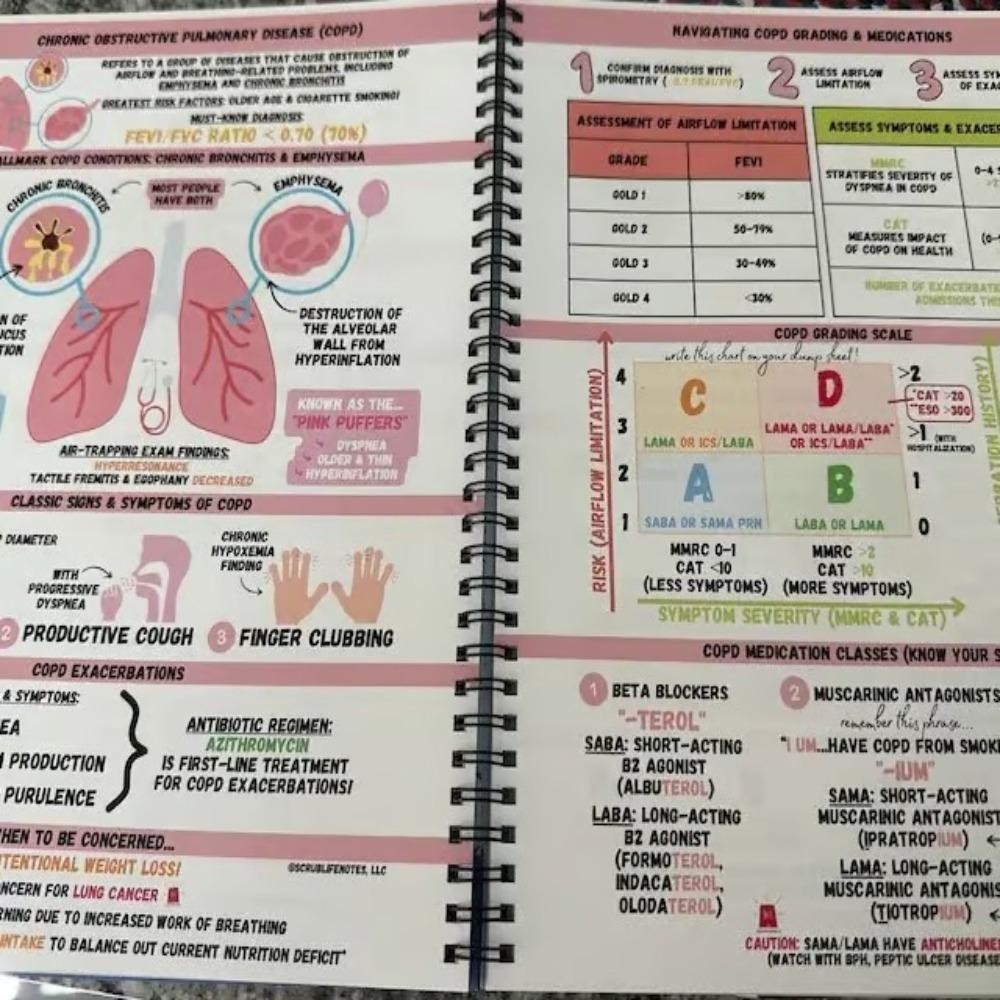 LUCKYSTOREGOODS Family Nurse Practitioner Guide, Paper ANNC FNP ...