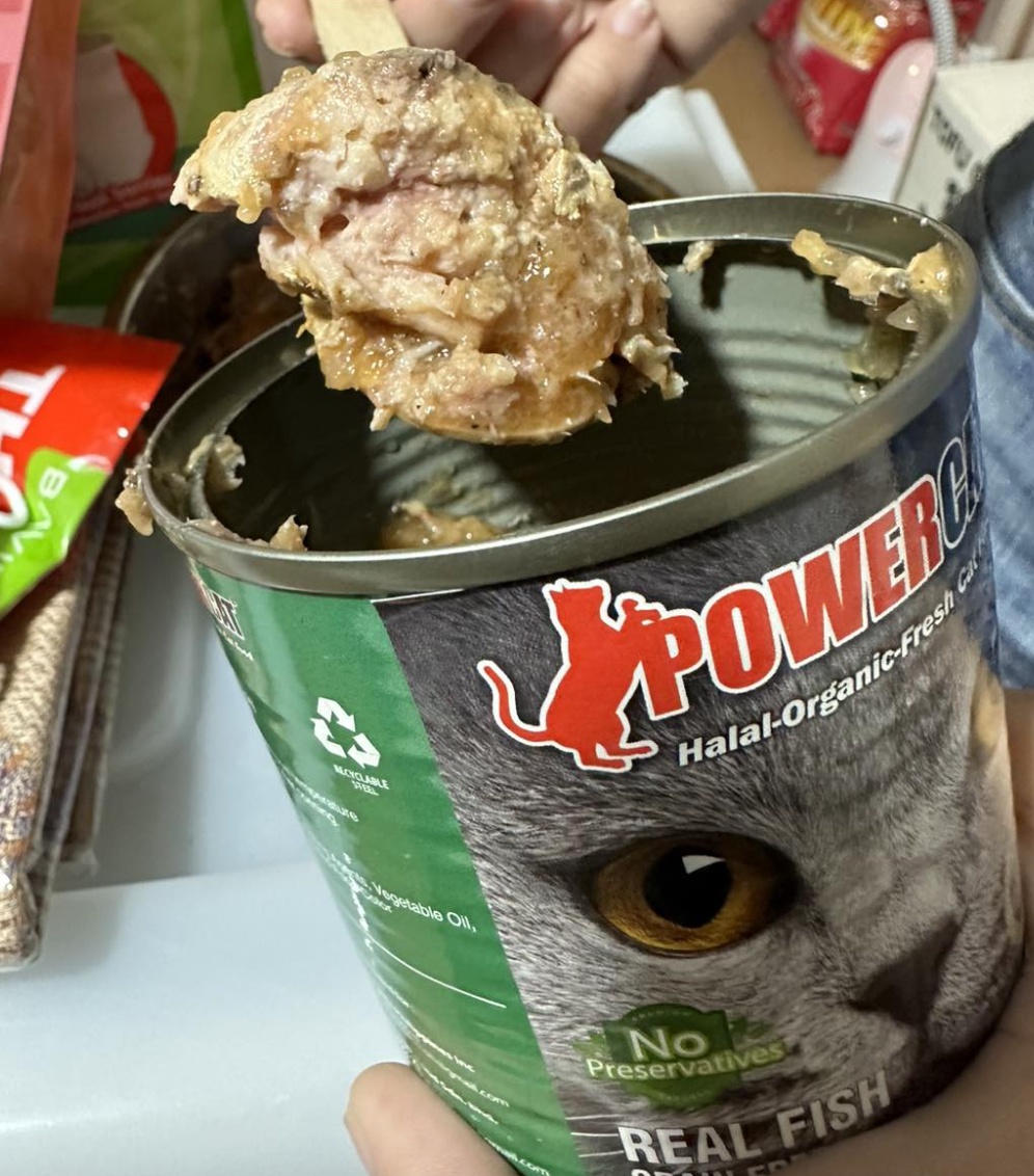 Powercat Wet Cat Can Food 400g Shopee Philippines
