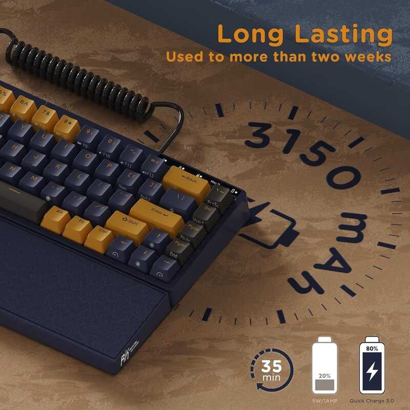 RK ROYAL KLUDGE R70 Wireless Gaming Keyboard, Detachable Bluetooth/2.4G ...
