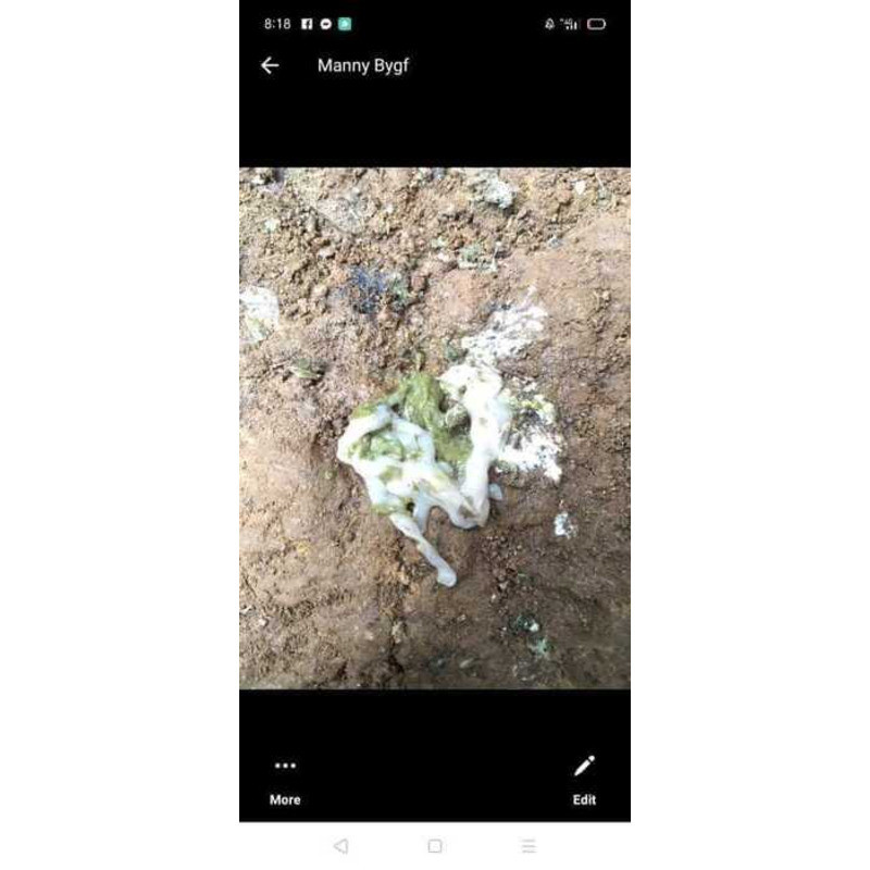 Du30 Organic Dewormer For Chickens/Pigeons/Birds 5E0 — view 5