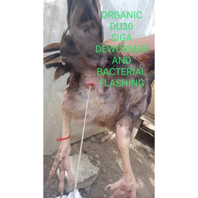 Du30 Organic Dewormer For Chickens/Pigeons/Birds 5E0 — view 6