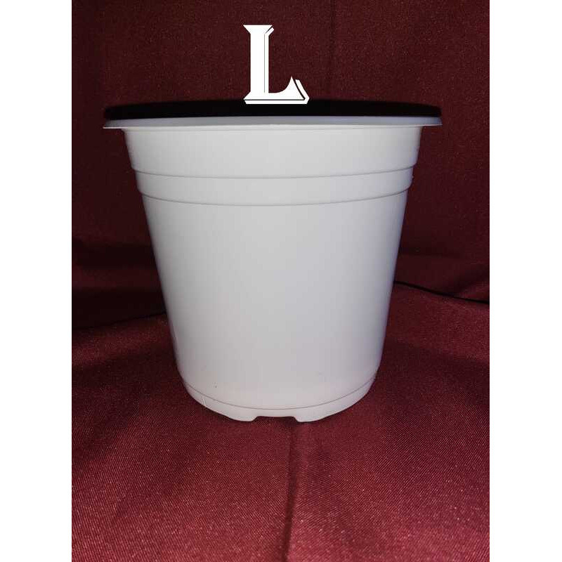 30Pesos Paso Any Kinds For Plants Flower Garden - Round Indoor & Outdoor Pots B88 - Image 4
