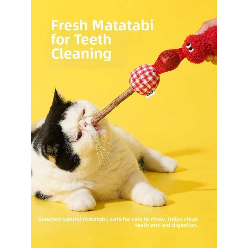 Interactive Zeze | Cat Teaser Toy Catnip Ball 926 | - Image 3