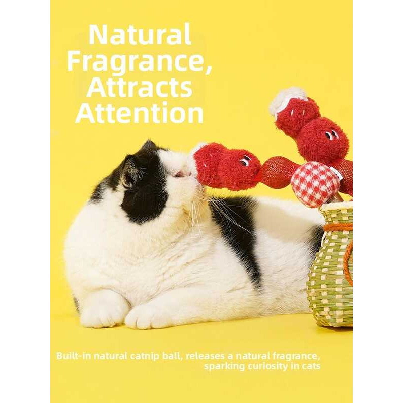 Interactive Zeze | Cat Teaser Toy Catnip Ball 926 | - Image 2