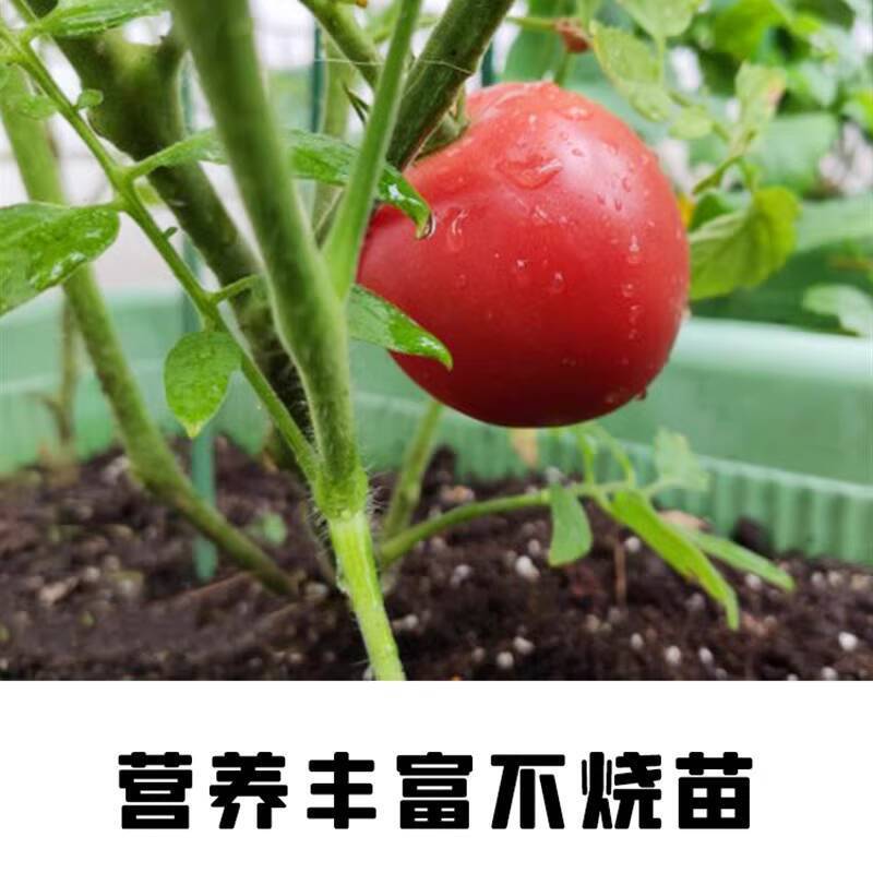 Chicken Manure Fermentation Organic Fertilizer for Vegetables and Fruit Trees, Pure Chicken Manur - Image 3